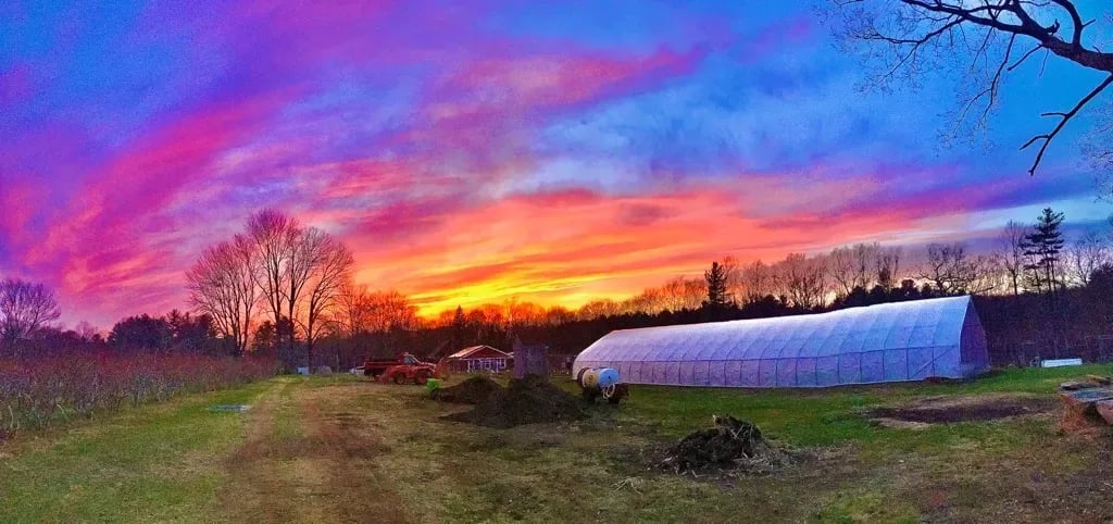 Farm photography at Douglas Orchard & Farm, East Douglas, Massachusetts.