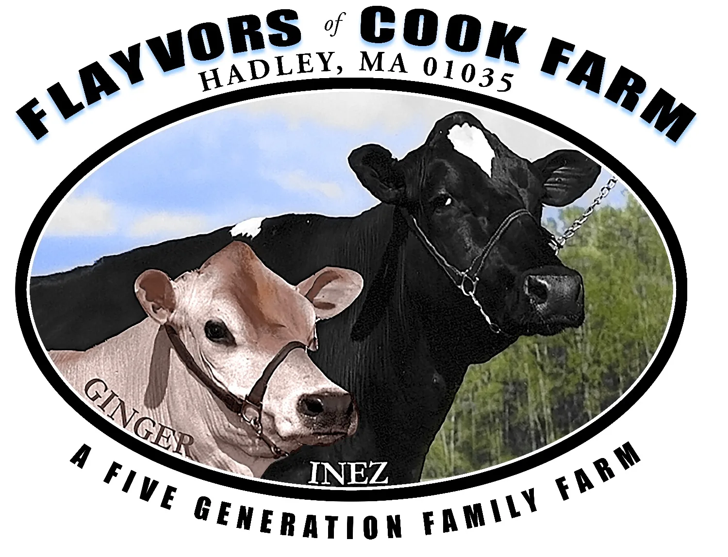 Farm photography at Flayvors of Cook Farm, Hadley, Massachusetts.