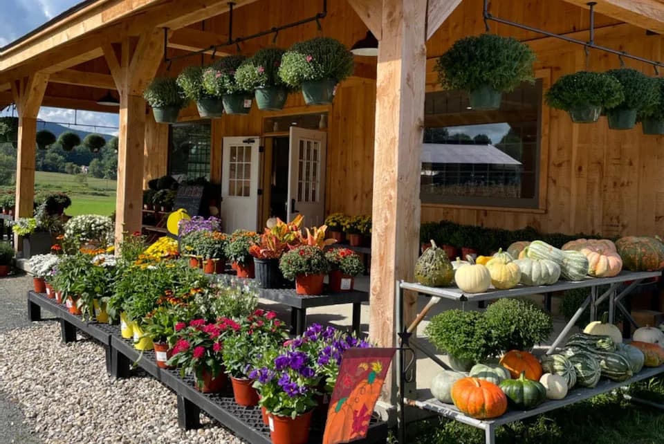 Farm photography at Fletcher Farm, Southampton, Massachusetts.