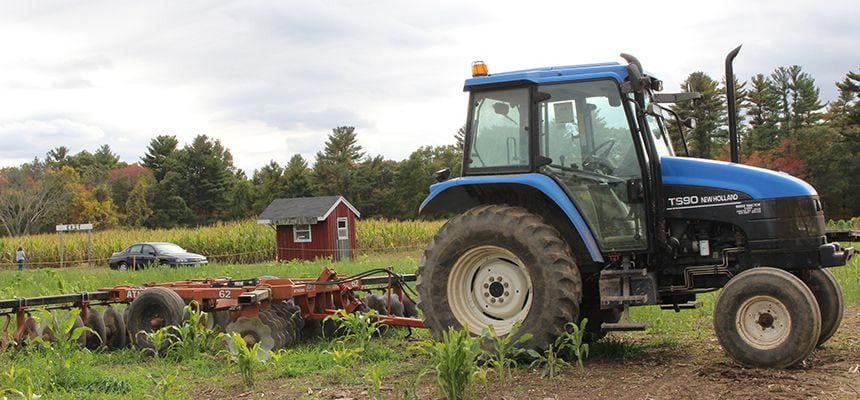 Farm photography at Flint Farm, Mansfield, Massachusetts.