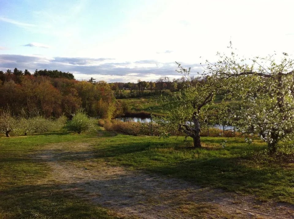 Farm photography at George Hill Orchards, Lancaster, Massachusetts.