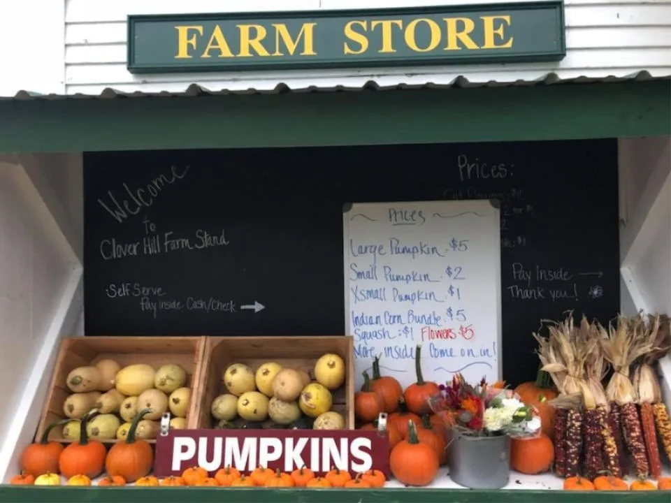 Farm photography at Clover Hill Farm, Gilbertville, Massachusetts.