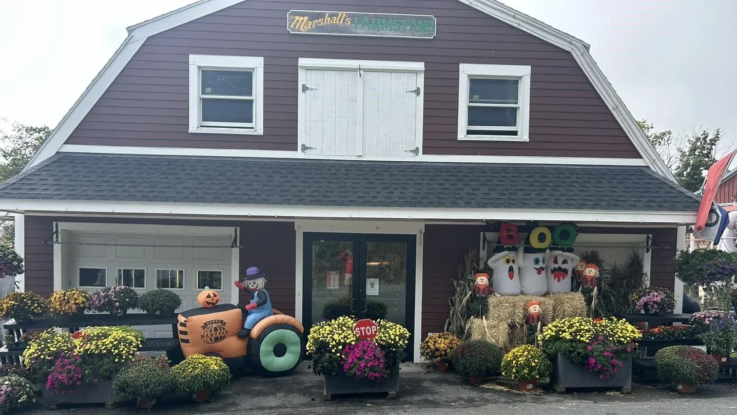 Farm photography at Marshall's Farm Stand & Greenhouses, Gloucester, Massachusetts.