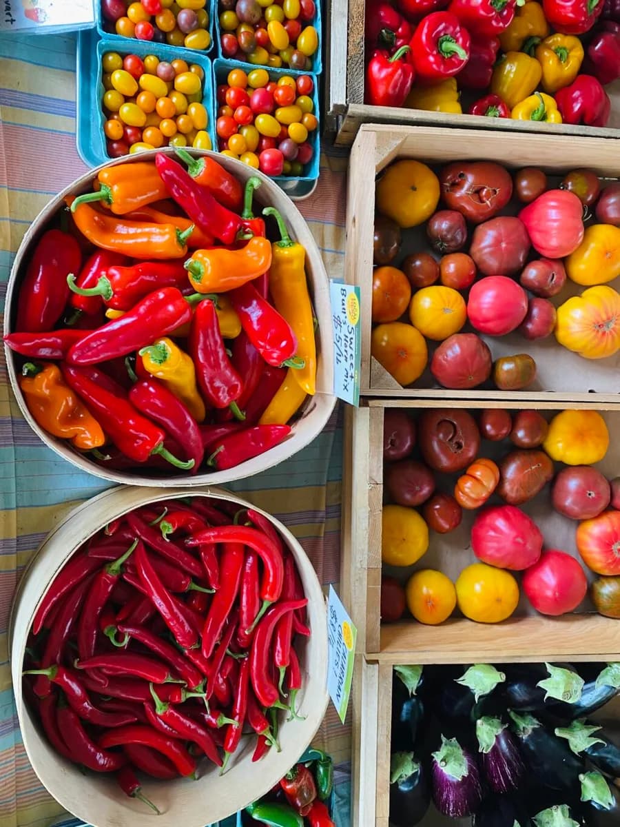 Farm photography at Preservation Orchard & Farm Roadside Stand, Hadley, Massachusetts.