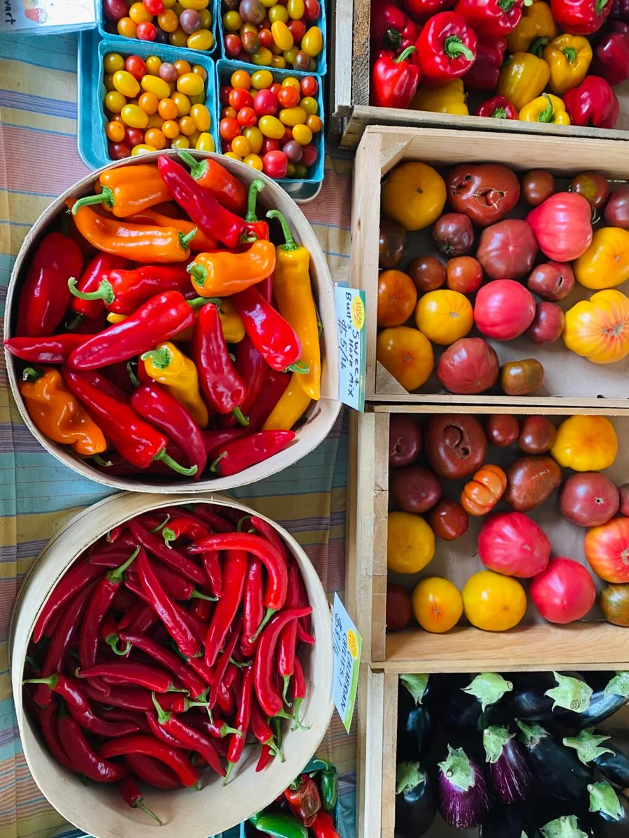 Farm photography at Preservation Orchard & Farm Roadside Stand, Hadley, Massachusetts.