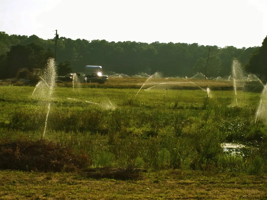 Webster Cranberry LLC in Norwell, MA