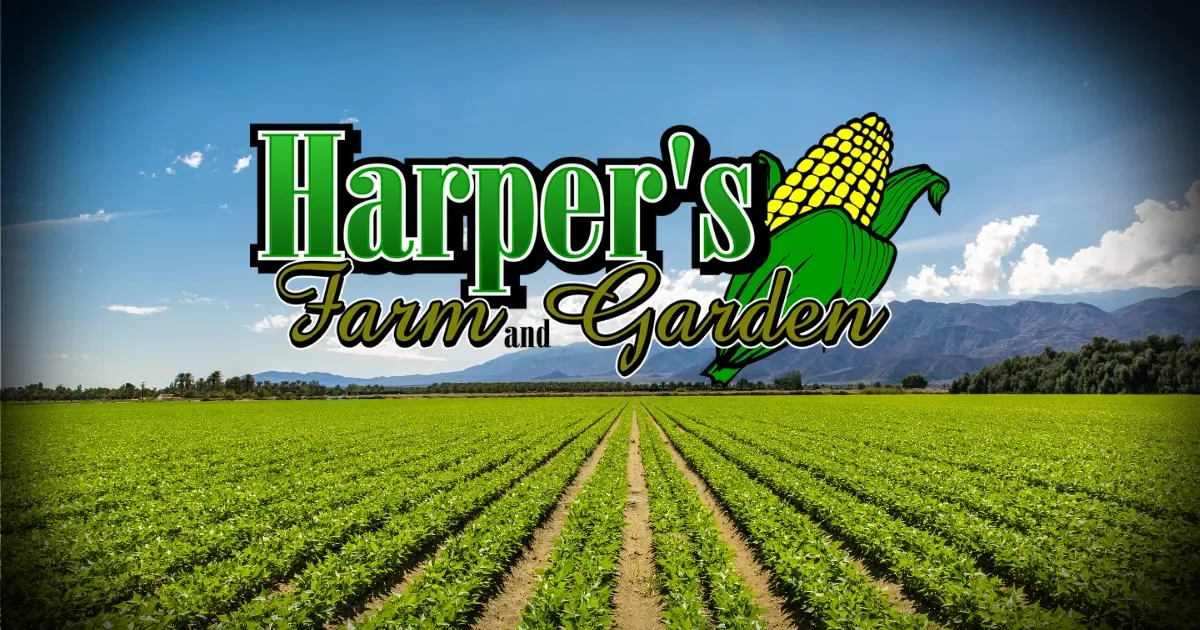 Farm photography at Harper's Farm & Garden, Lancaster, Massachusetts.