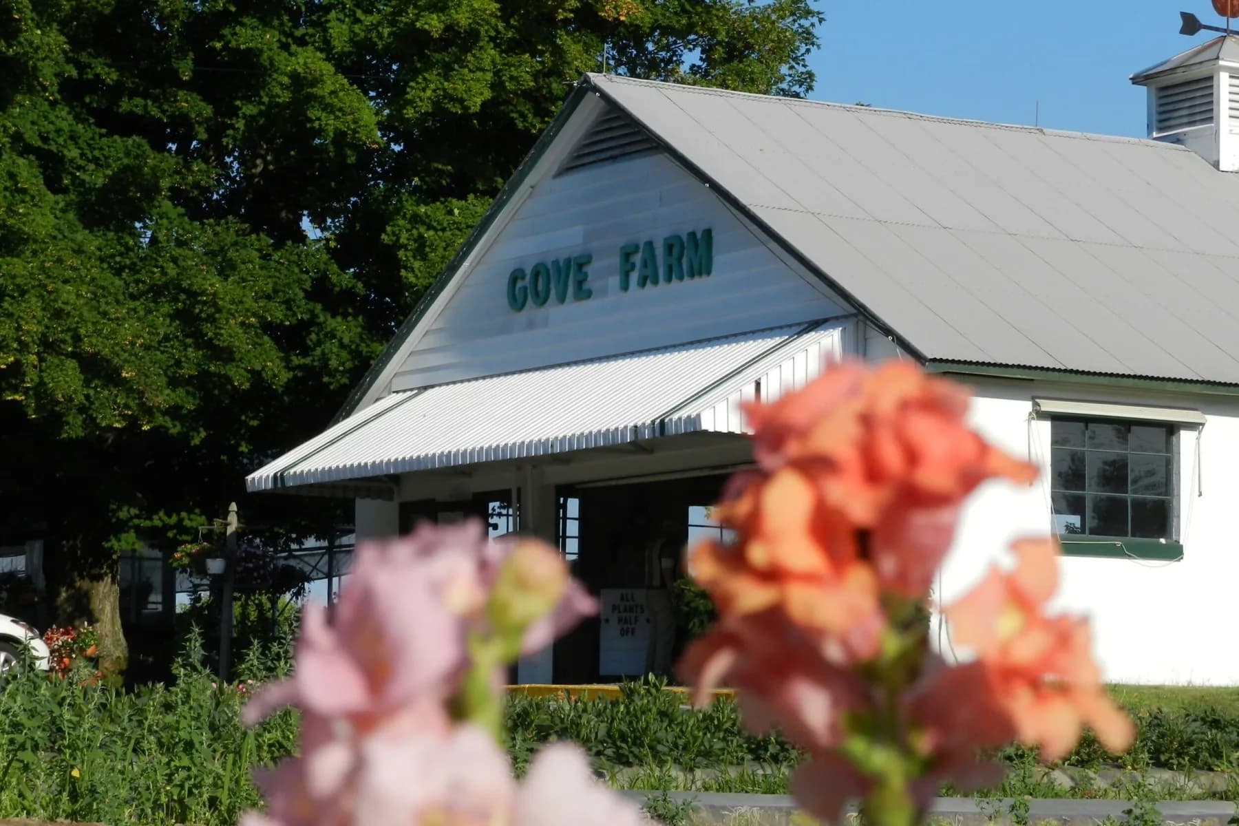 Farm photography at Gove Farm, Leominster, Massachusetts.
