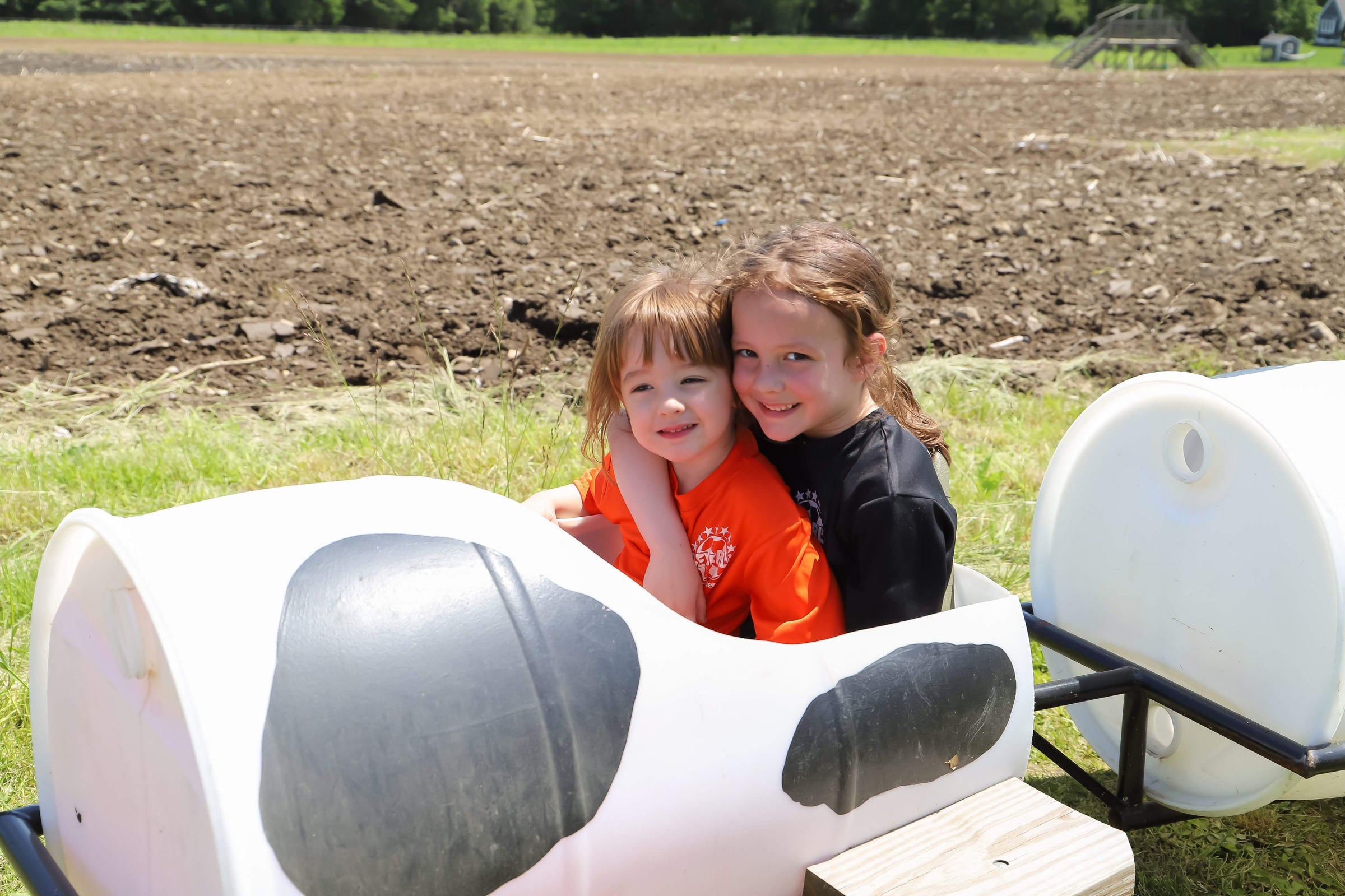 Farm photography at Marini Farm, Ipswich, Massachusetts.