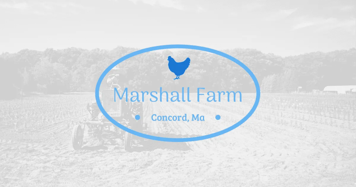 Farm photography at Marshall Farm, Concord, Massachusetts.