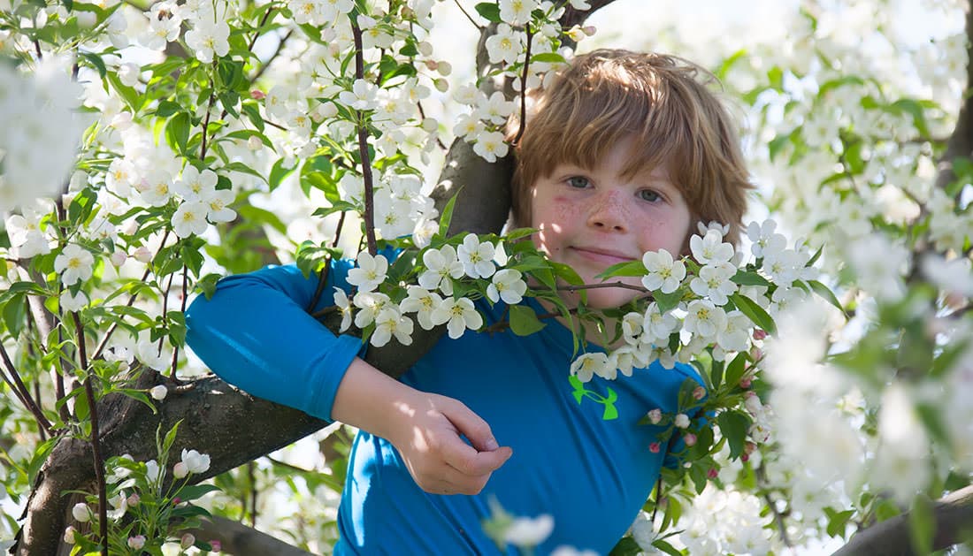 Farm photography at Meadowbrook Orchards, Sterling, Massachusetts.