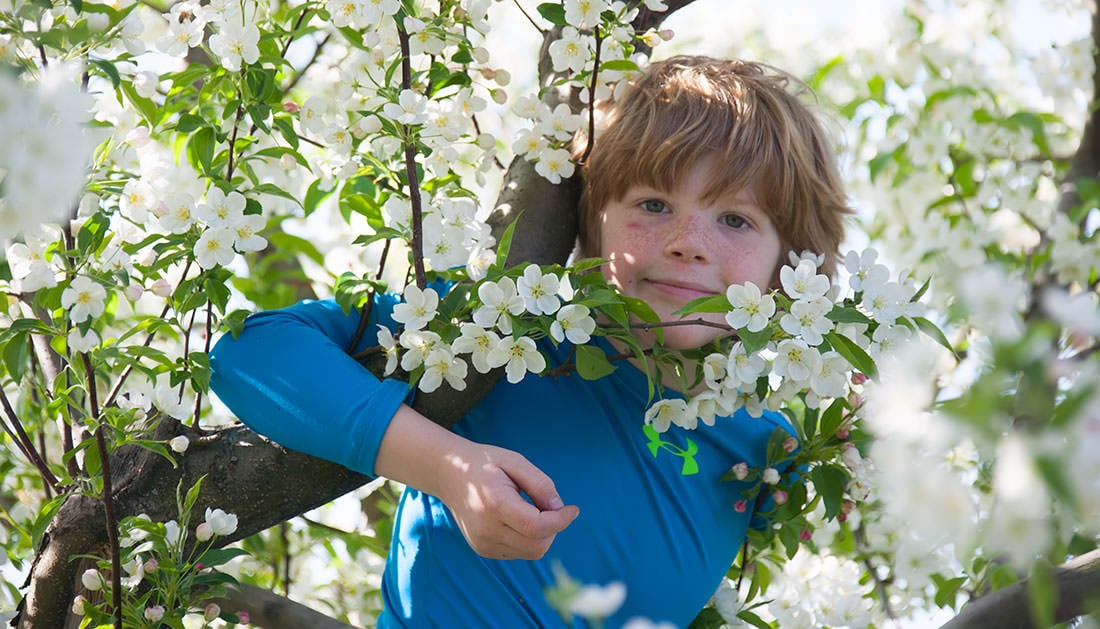 Farm photography at Meadowbrook Orchards, Sterling, Massachusetts.