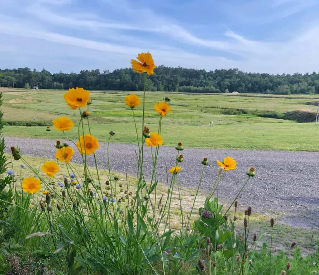 Farm photography at Benson's Pond, Middleborough, Massachusetts.