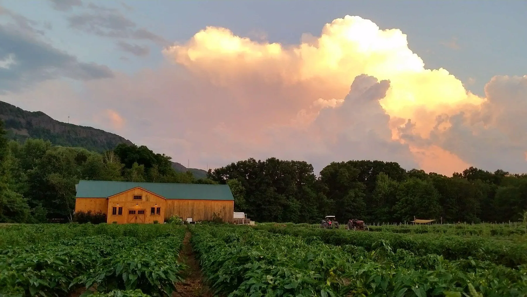 Farm photography at Mountain View Farm CSA, Easthampton, Massachusetts.