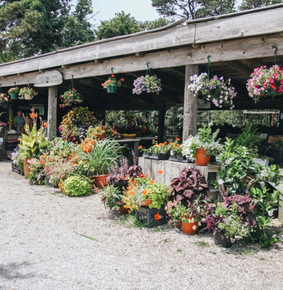 Farm photography at Moors End Farm, Nantucket, Massachusetts.