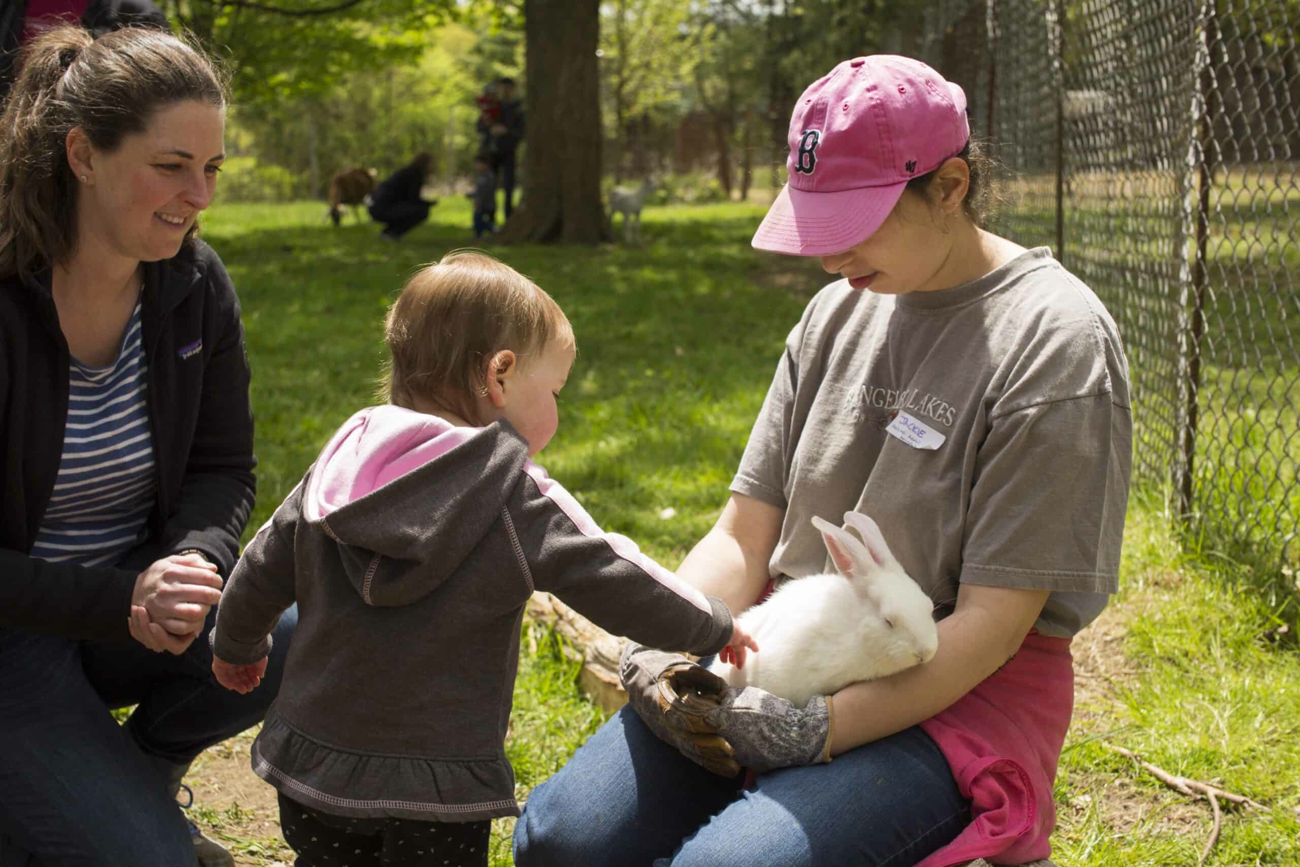 Farm photography at Natick Community Organic Farm, Natick, Massachusetts.