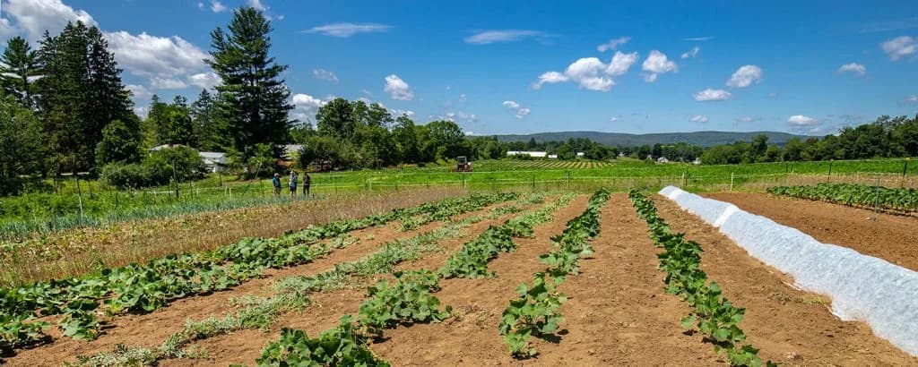 Farm photography at Cider Crossing, Northfield, Massachusetts.
