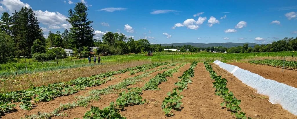 Farm photography at Cider Crossing, Northfield, Massachusetts.