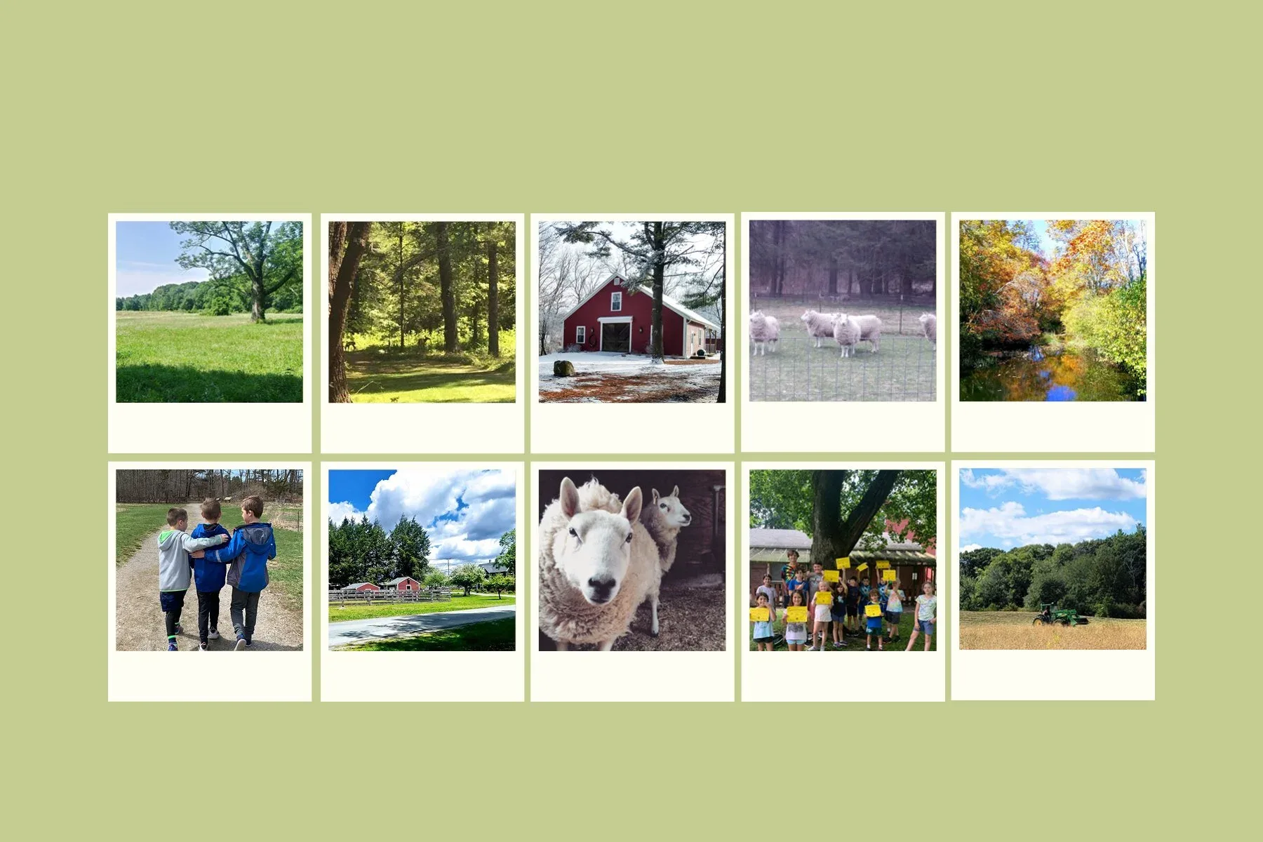 Farm photography at NRT's Sheep Pasture, North Easton, Massachusetts.