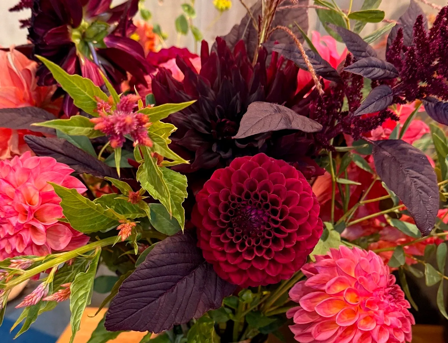 Farm photography at Patten Hill Flower Farm, Shelburne Falls, Massachusetts.