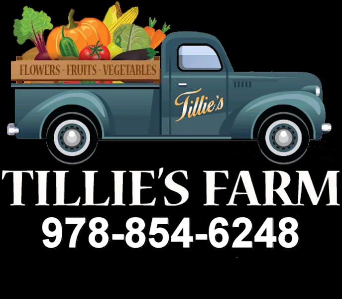 Farm photography at Tillie's Farm, Peabody, Massachusetts.