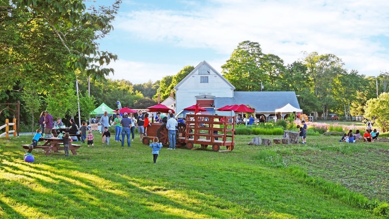 Farm photography at Powisset Farm, Dover, Massachusetts.