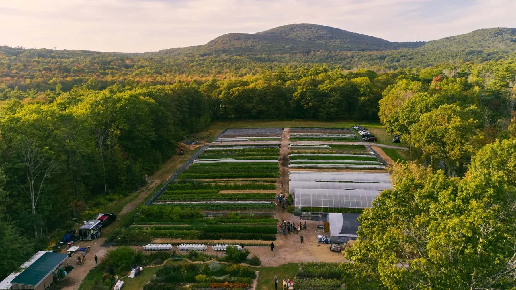 Farm photography at Rattle Root Farm, Princeton, Massachusetts.