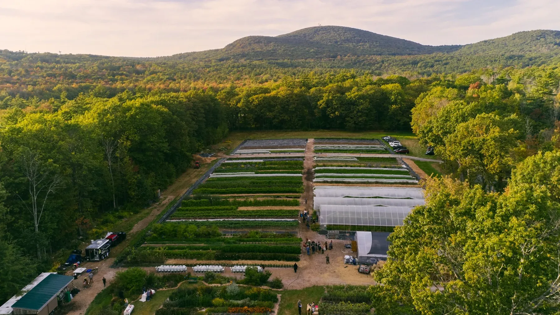Farm photography at Rattle Root Farm, Princeton, Massachusetts.