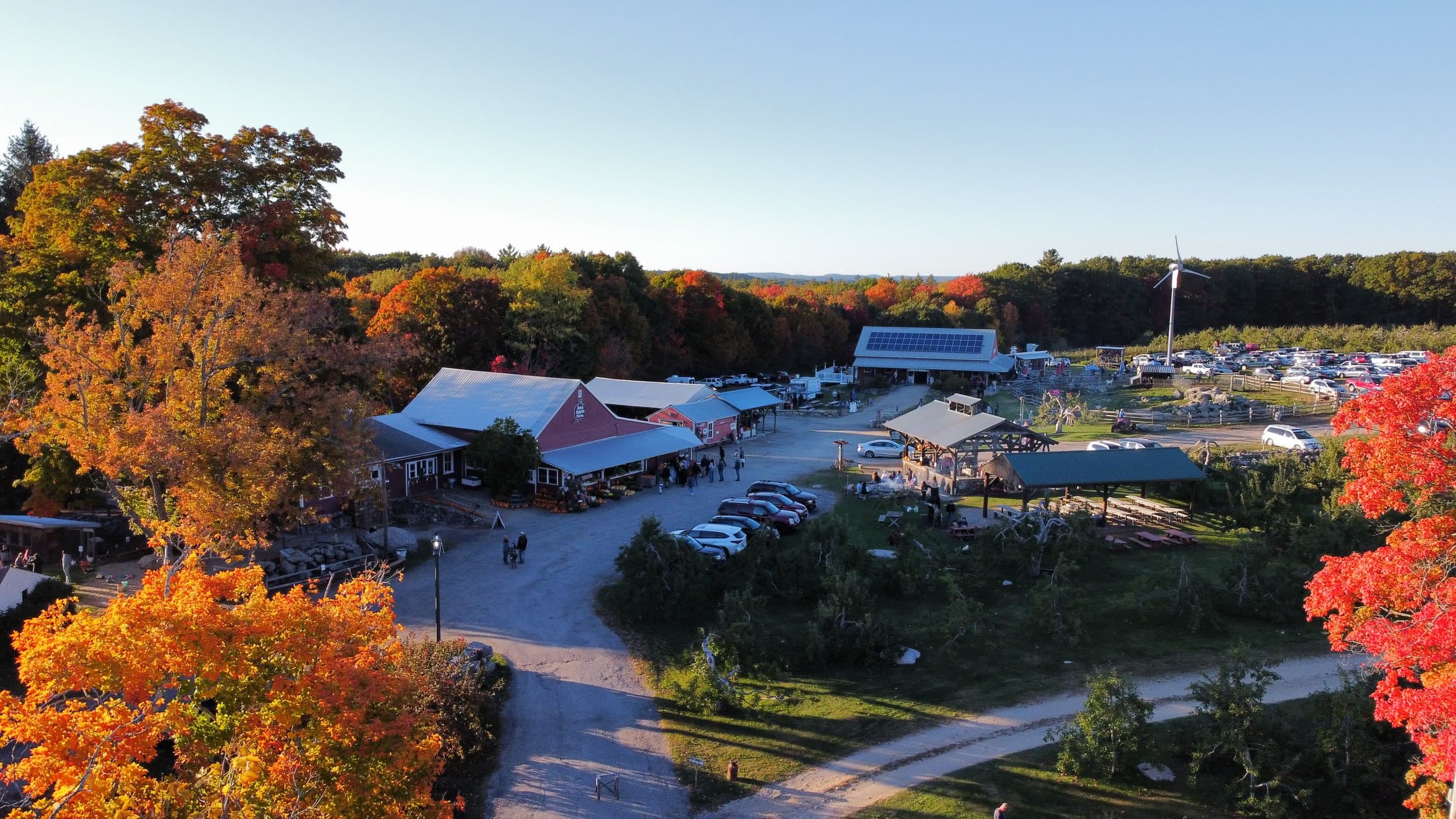 Farm photography at Red Apple Farm, Phillipston, Massachusetts.