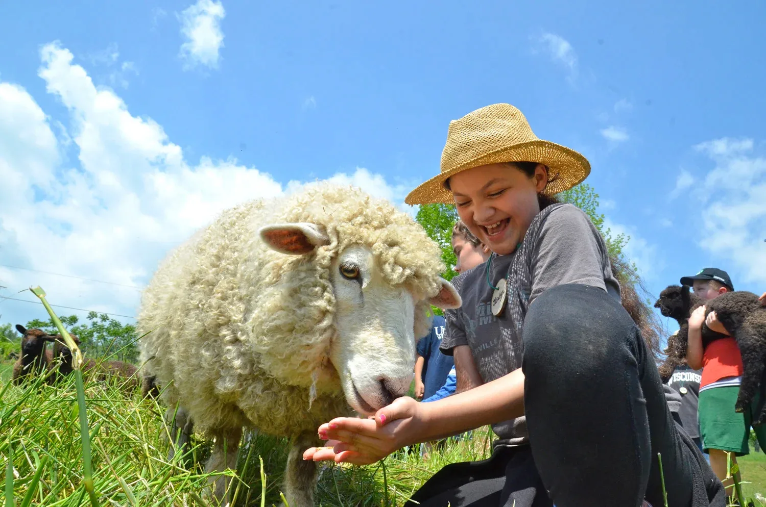 Farm photography at Red Gate Farm, Ashfield, Massachusetts.