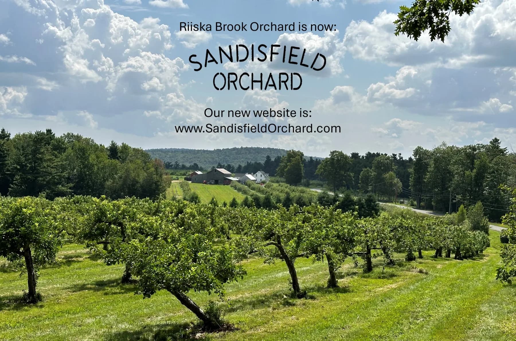 Farm photography at Riiska Brook Orchard, Sandisfield, Massachusetts.