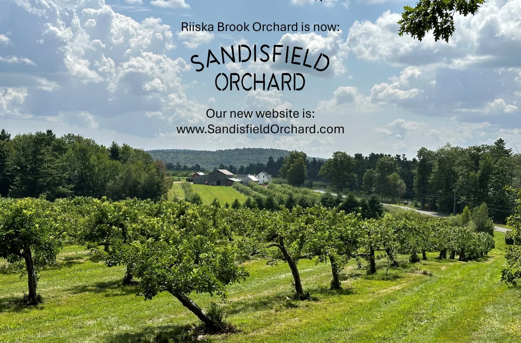 Farm photography at Riiska Brook Orchard, Sandisfield, Massachusetts.