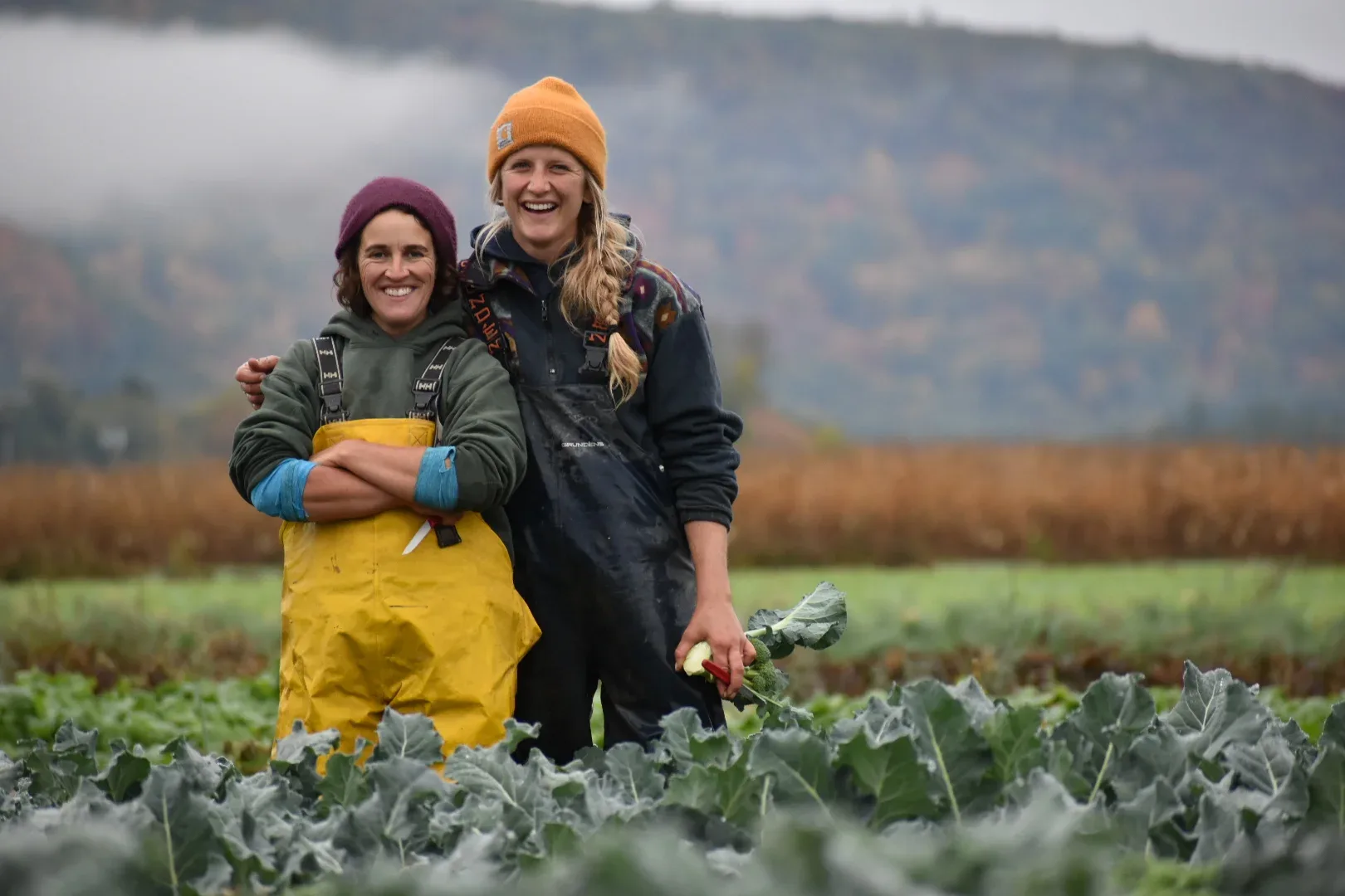 Farm photography at Riverland Farm LLC, Sunderland, Massachusetts.