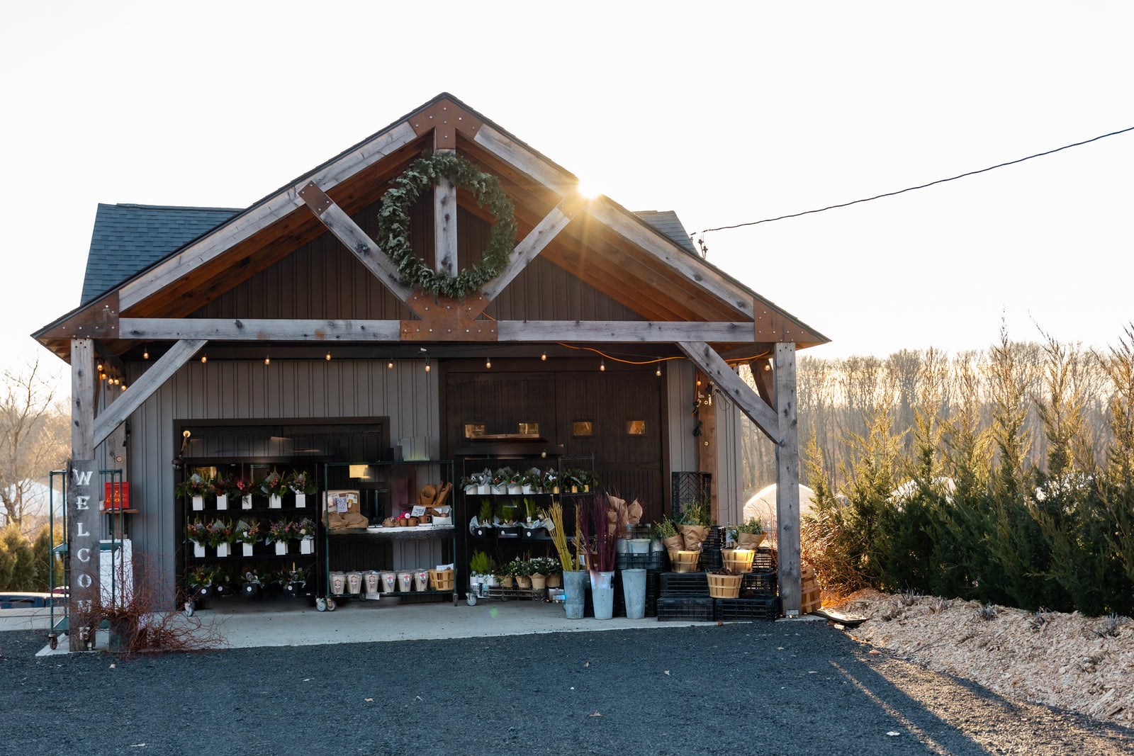 Farm photography at Rooted Flowers, Agawam, Massachusetts.