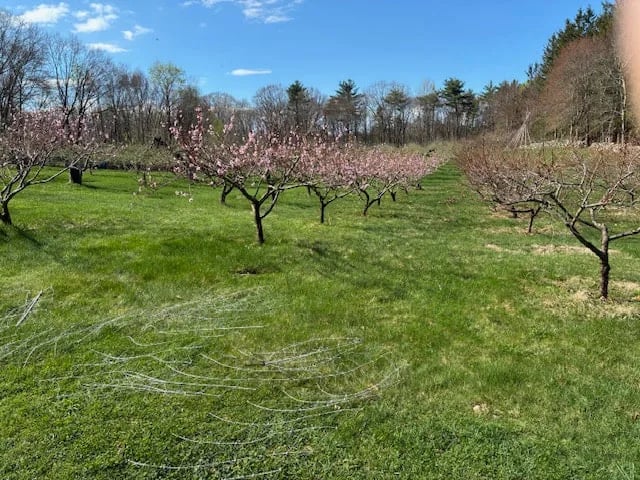 Farm photography at Sentinel Farm, Belchertown, Massachusetts.