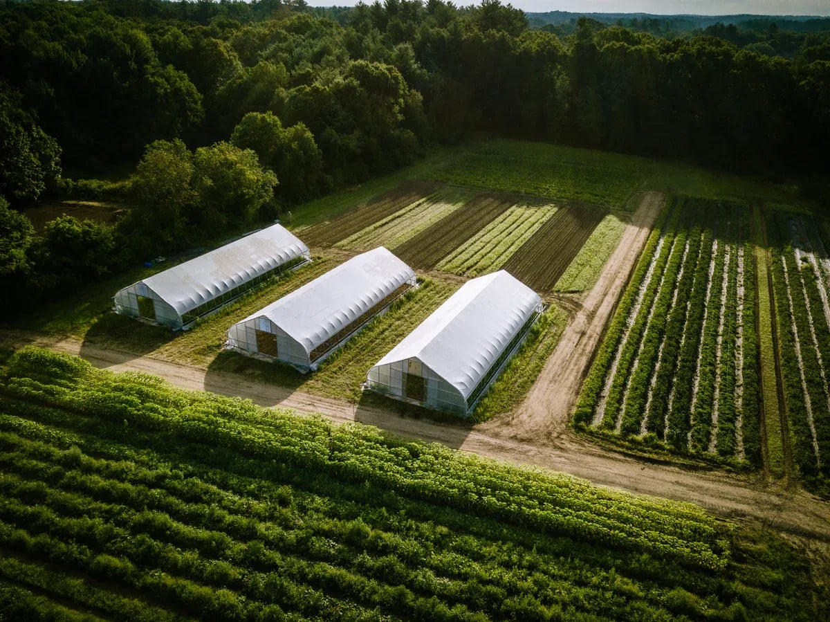 Farm photography at Siena Farms, Sudbury, Massachusetts.