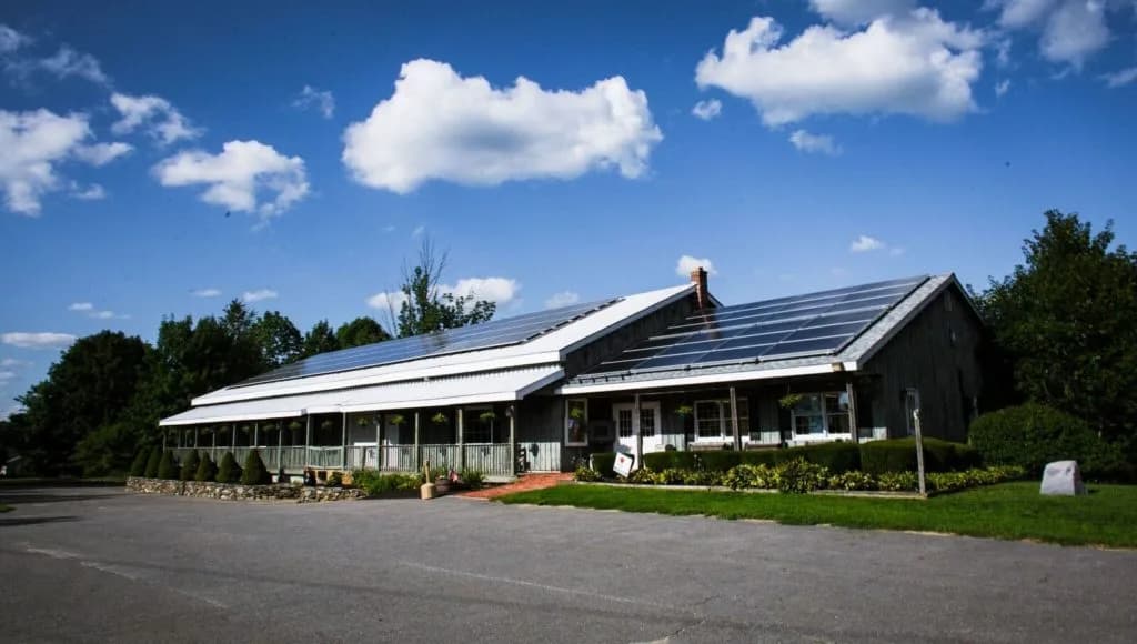 Farm photography at Smith's Country Cheese, Winchendon, Massachusetts.