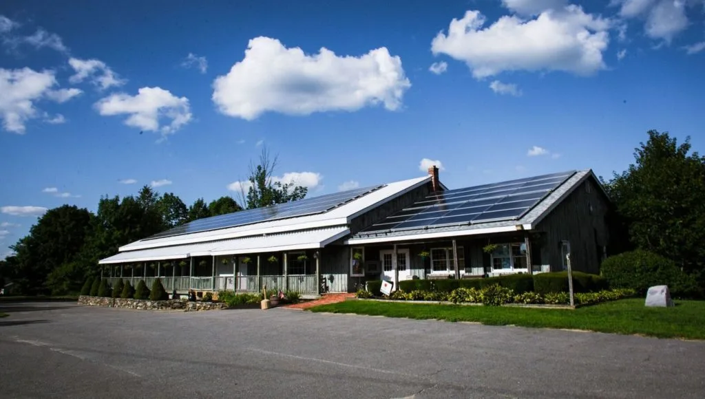 Farm photography at Smith's Country Cheese, Winchendon, Massachusetts.