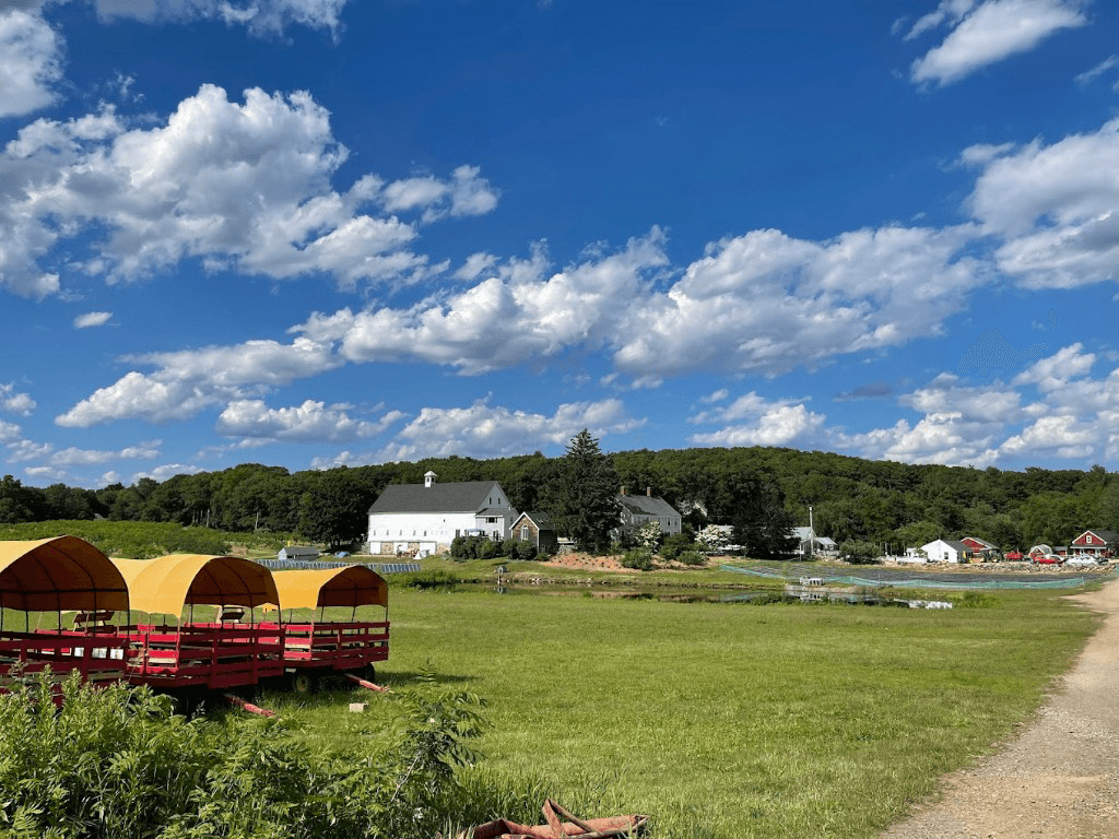 Farm photography at Smolak Farms, North Andover, Massachusetts.