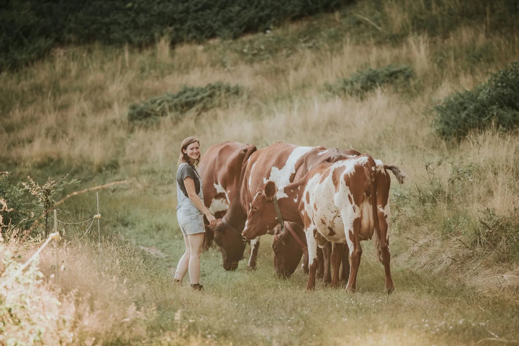 Farm photography at Maplebrook Farmstead, Sterling, Massachusetts.