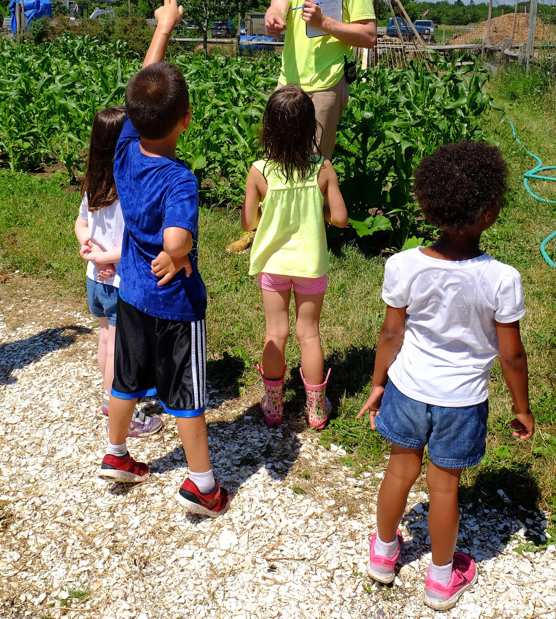 Farm photography at The FARM Institute, Edgartown, Massachusetts.