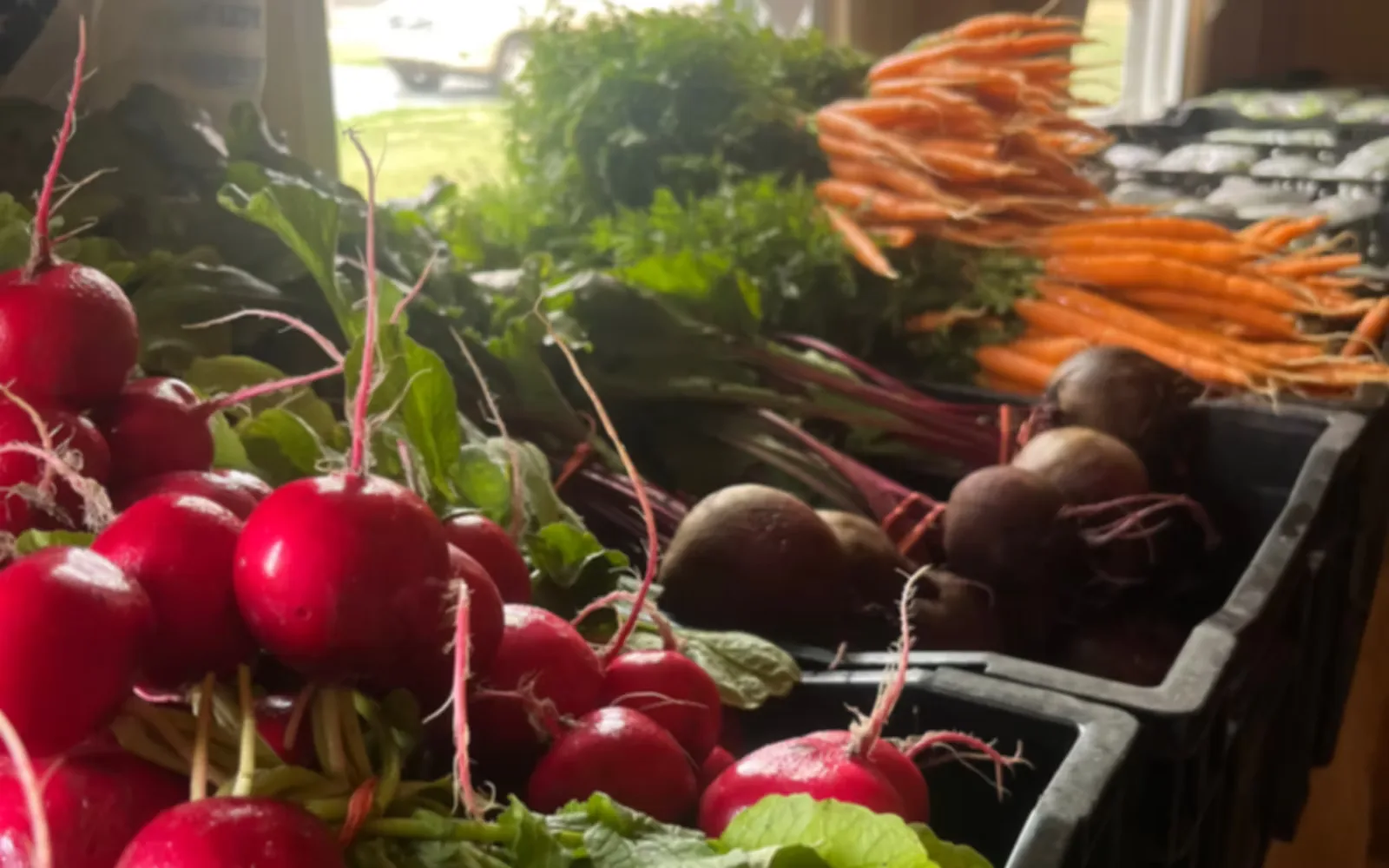 Barker's Farm Stand in North Andover, MA