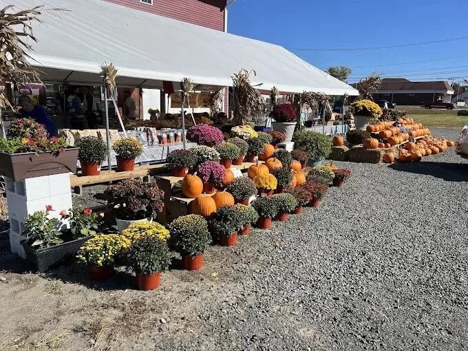 Farm photography at Wanczyk Produce, Hadley, Massachusetts.