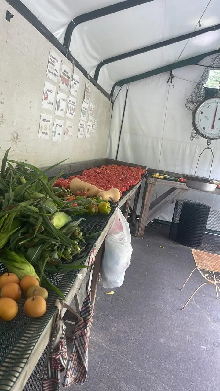 Seasonal vegetables displayed inside the Wareham Quail Farm stand in Wareham, Massachusetts.