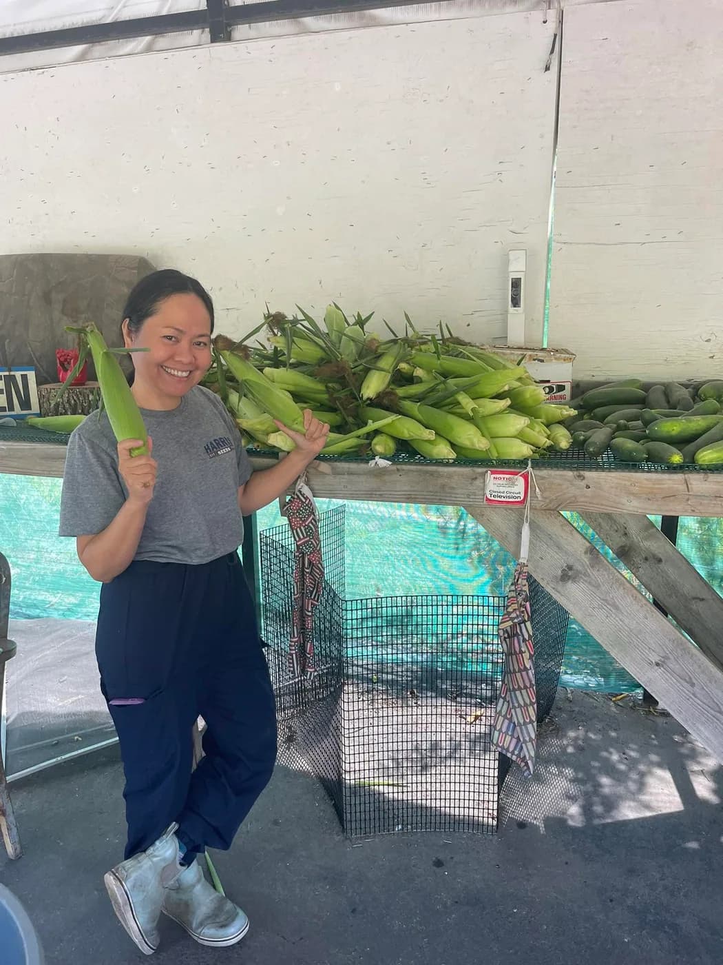Fresh sweet corn and cucumbers at the Wareham Quail Farm stand.