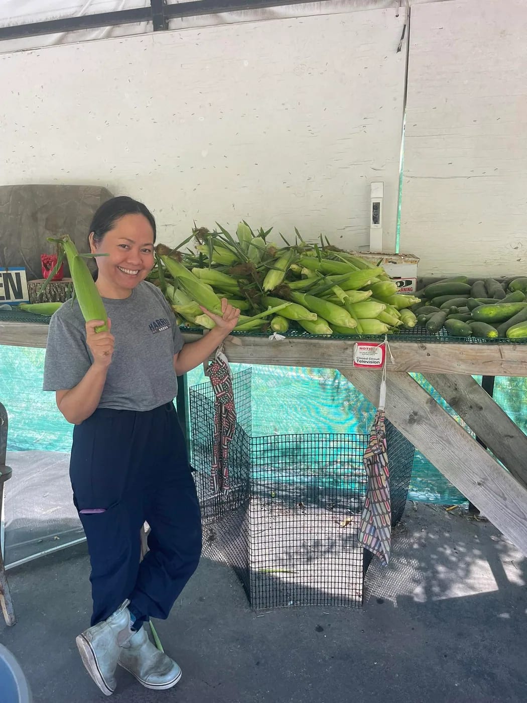Fresh sweet corn and cucumbers at the Wareham Quail Farm stand.