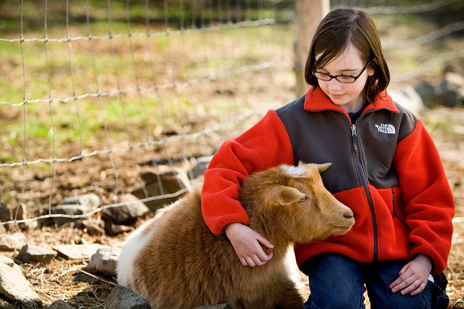 Farm photography at Weir River Farm, Hingham, Massachusetts.