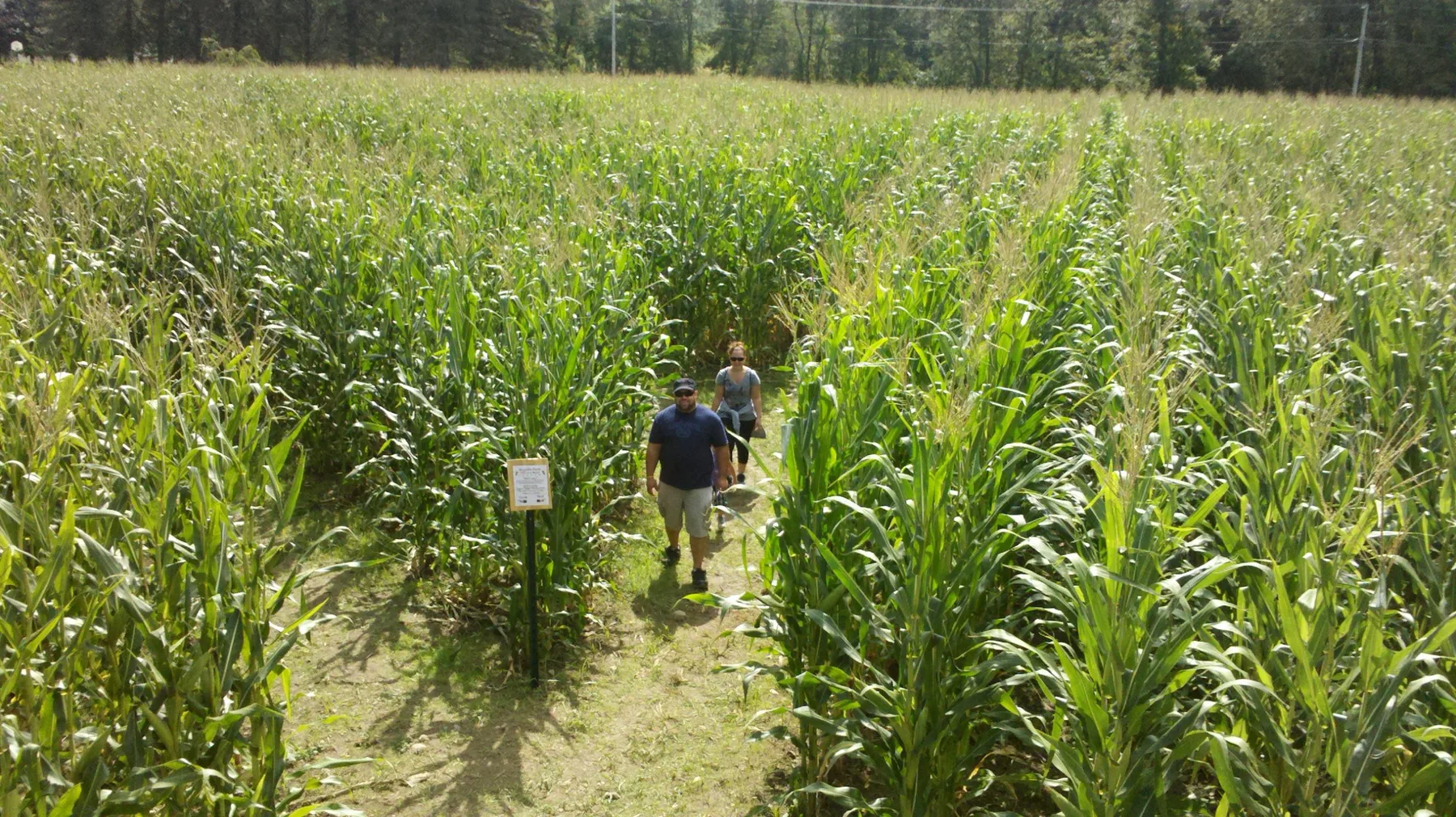 Farm photography at Wojcik Farm, Blackstone, Massachusetts.