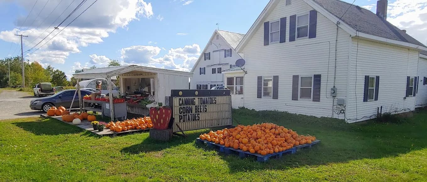 Adam’s Strawberry Acres farm stand with pumpkins and seasonal produce in Corinth, Maine.