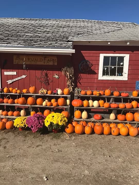 Applewald Farm: litchfield me gallery item 1 pumpkin stand